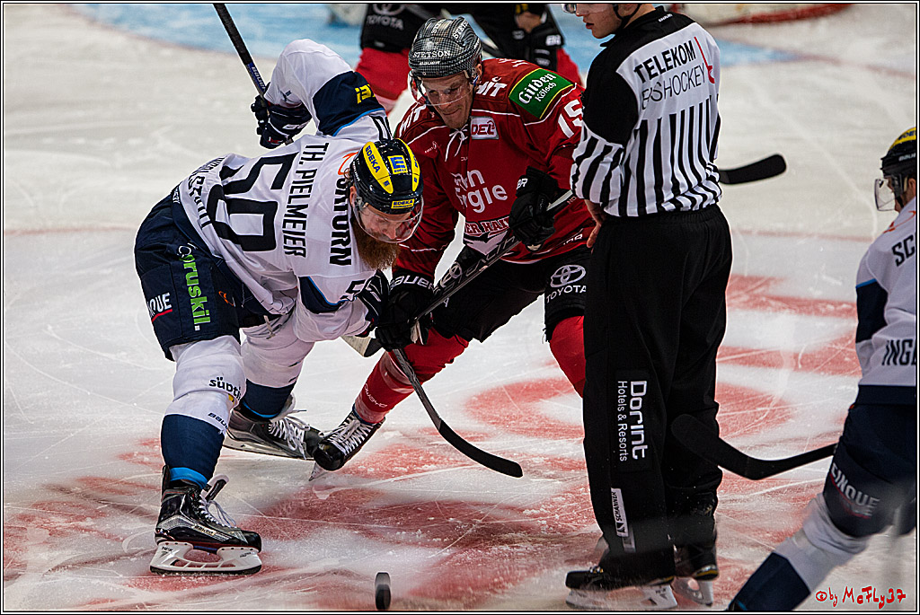 DEL, Koelner Haie - ERC Ingolstadt, 20.01.2017